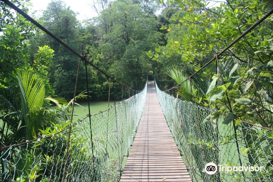 Flüge Lijiang Bintulu