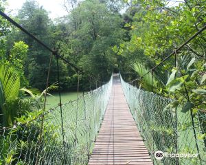 香港-民都魯 機票酒店 自由行