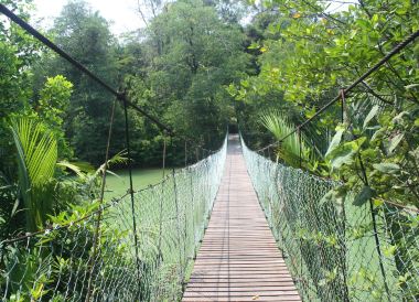 ビントゥル行き飛行機