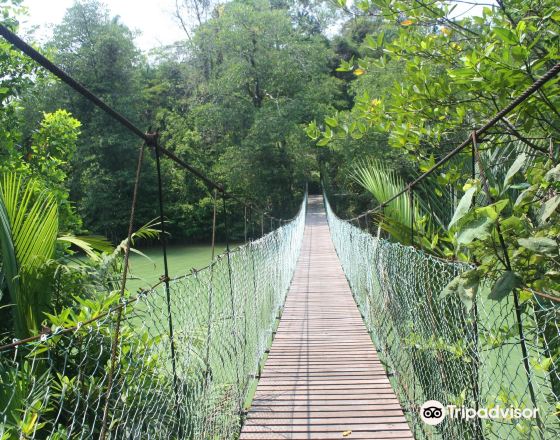 民都魯 自由行套票
