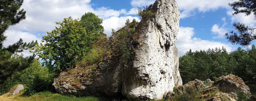 Przewodziszowice