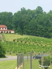 Running Hare Vineyard