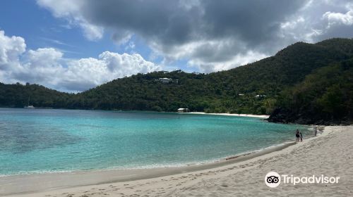 Hawksnest Beach