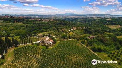 Azienda Agricola La Lastra