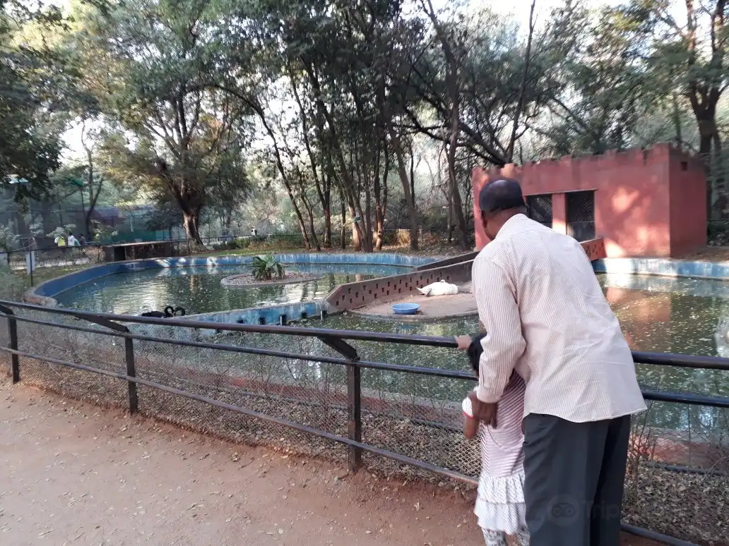 Hotels near Mini zoo