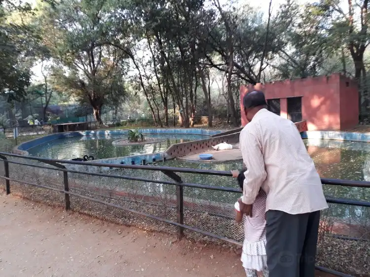 Hotels near Mini zoo