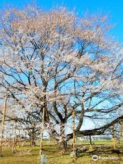 天平の丘公園