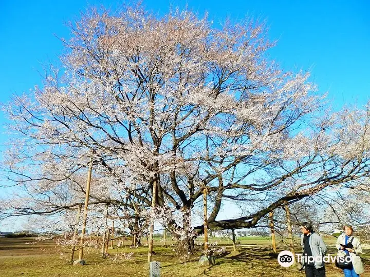 Tenpyo no Oka Park