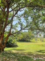 Jardín Botánico de Entebbe