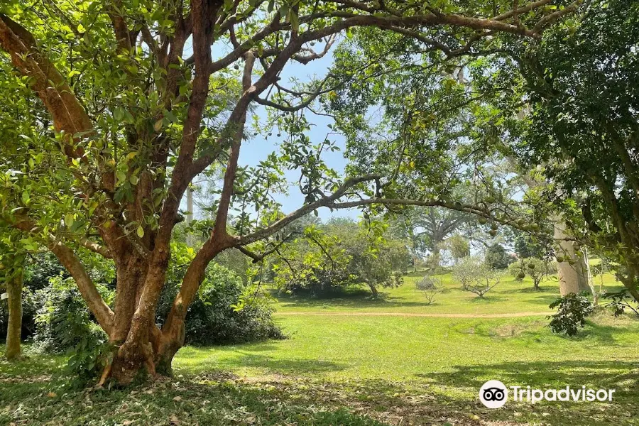 Jardín Botánico de Entebbe