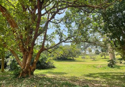 Jardín Botánico de Entebbe