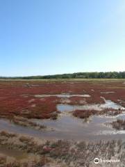 Ubaranai SANGO Grassland