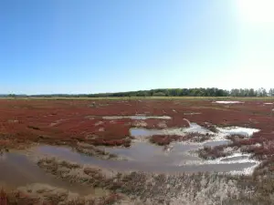 Ubaranai SANGO Grassland