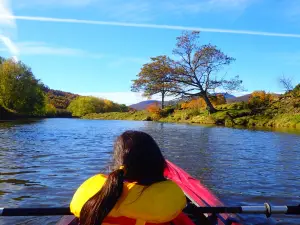 Canoe & Co - kayak, canoe, SUP rental and excursions