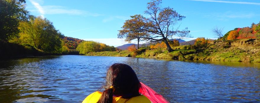 Canoe & Co - kayak, canoe, SUP rental and excursions