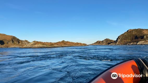Seafari Adventures