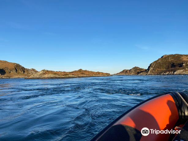Seafari Adventures