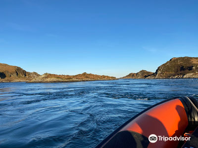Seafari Adventures