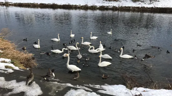 Niida Park