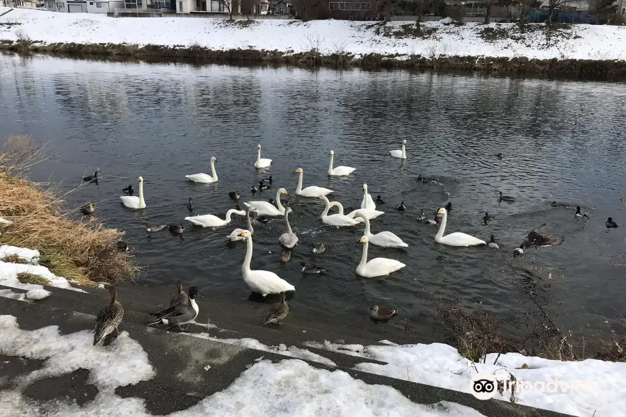 新井田公園