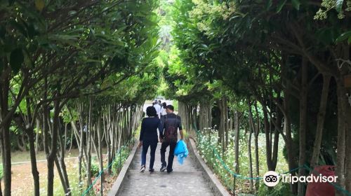 長蛇島海上公園