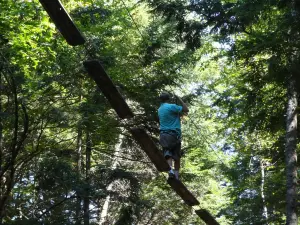 Treego Mactaquac