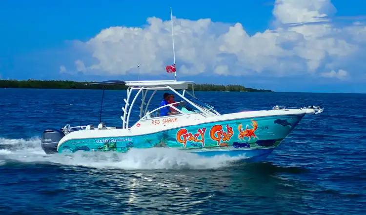 Hotels near Crazy Crab - Private Boat Charters