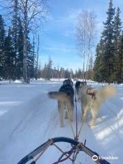 Firewalkers Alaskan Malamute