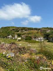 Chysauster Ancient Village