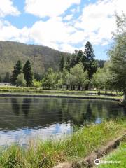 Gaden Trout Hatchery