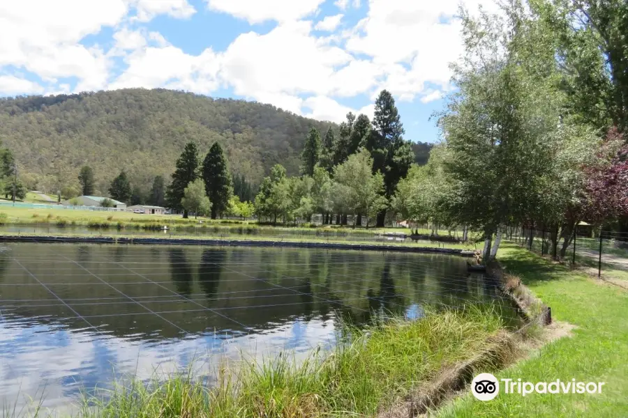 Gaden Trout Hatchery