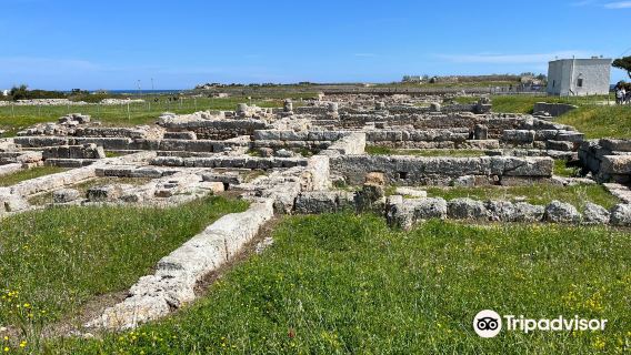 Scavi di Egnazia