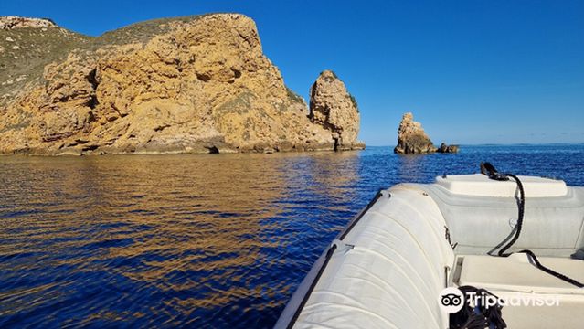 OrcaSub Ibiza Diving Centre