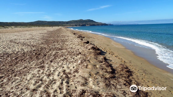 Spiaggia di Fontanamare
