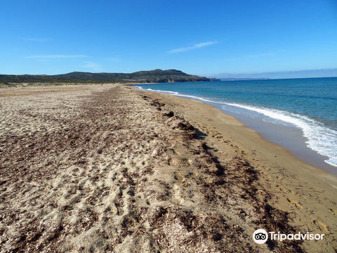 Spiaggia di Fontanamare