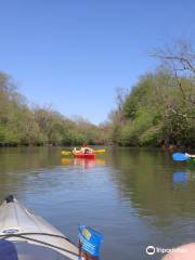 Rocky Forest River Run