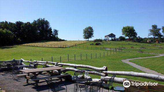 Maize Valley Winery & Craft Brewery