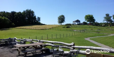 Maize Valley Market & Winery