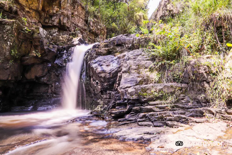 Turton Creek reserve