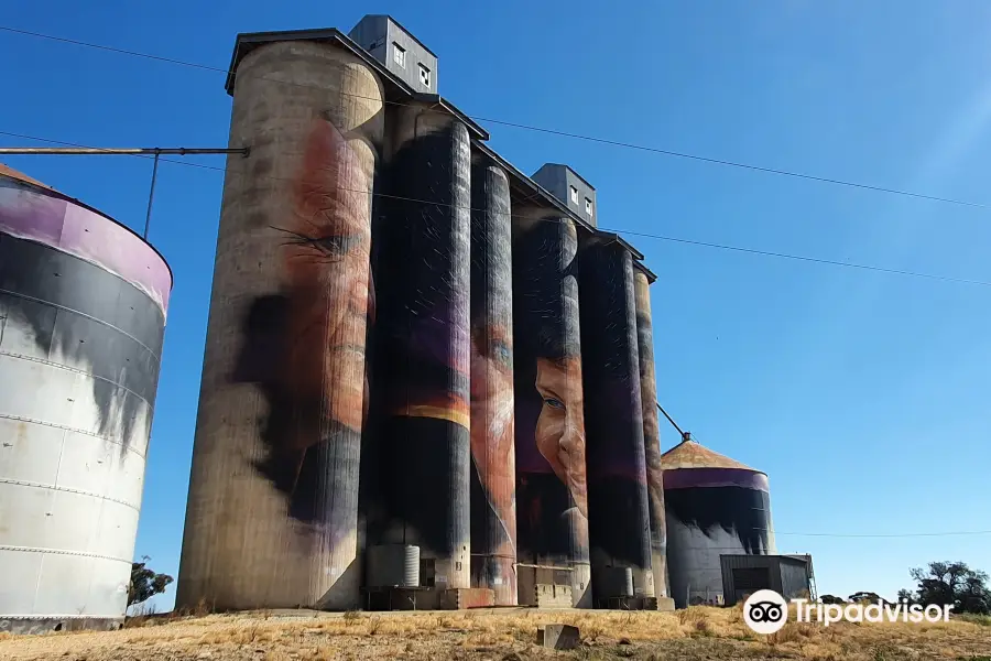 GrainCorp Sheep Hills Silo Art