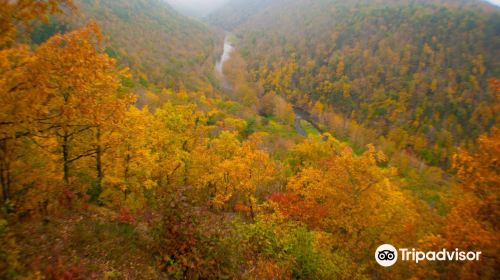 Pine Creek Gorge