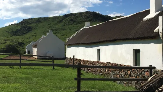 Suikerbosrand Nature Reserve