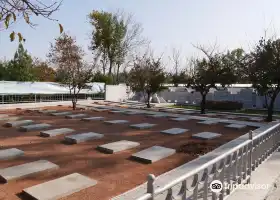 Japanese War Graves Tashkent