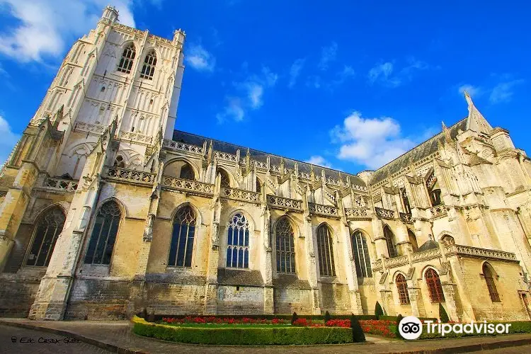 Notre-Dame-de-Saint-Omer Cathedral