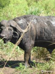 Hluhluwe - iMfolozi Park Wilderness Area