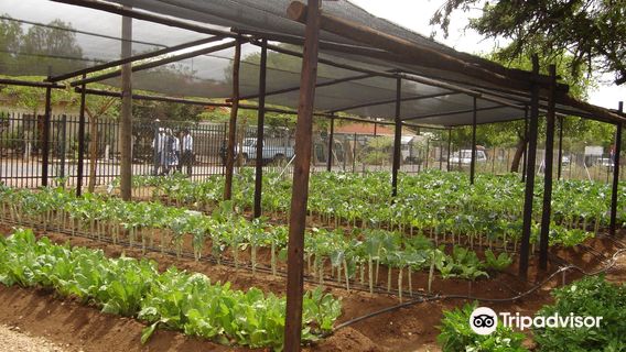 Somarelang Tikologo (Environment Watch Botswana)