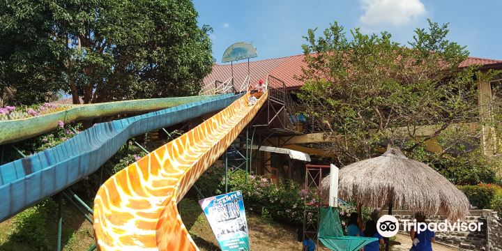Zoocobia Fun Zoo