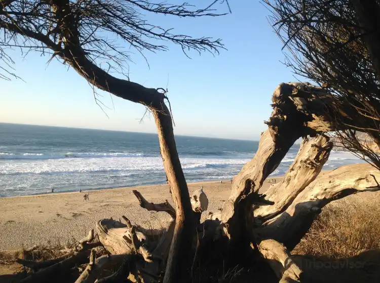 Montara