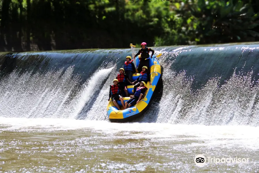 Progo Rafting