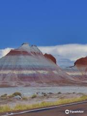 Parco nazionale di Petrified Forest